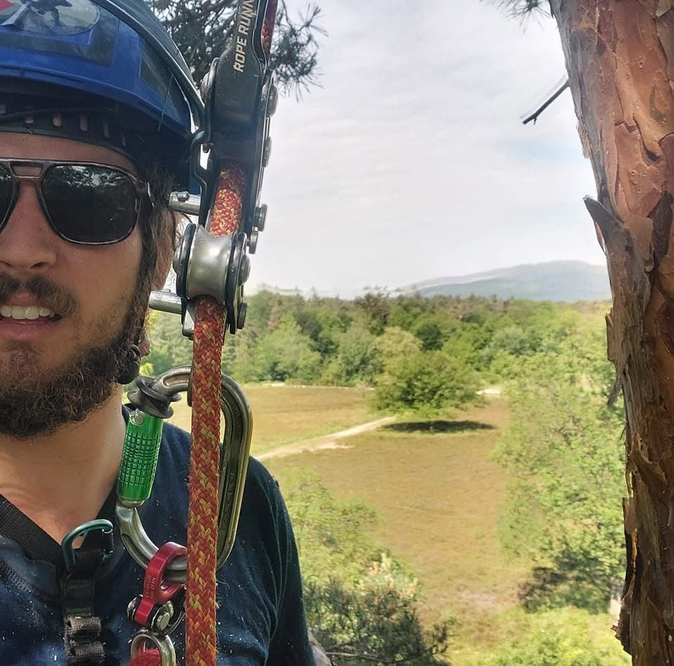 Arborista com capacete e arnês de escalada junto a uma árvore