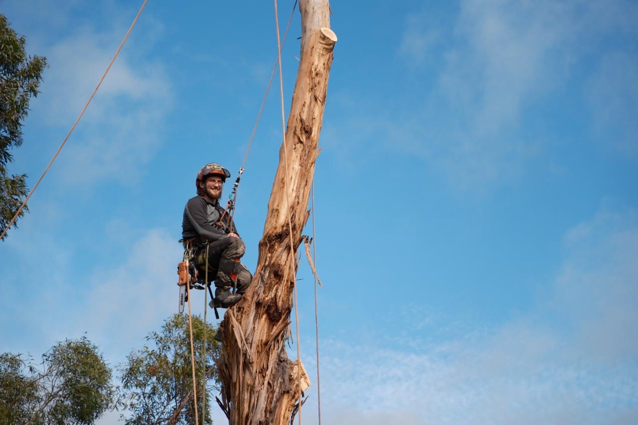Climbing and dismantling