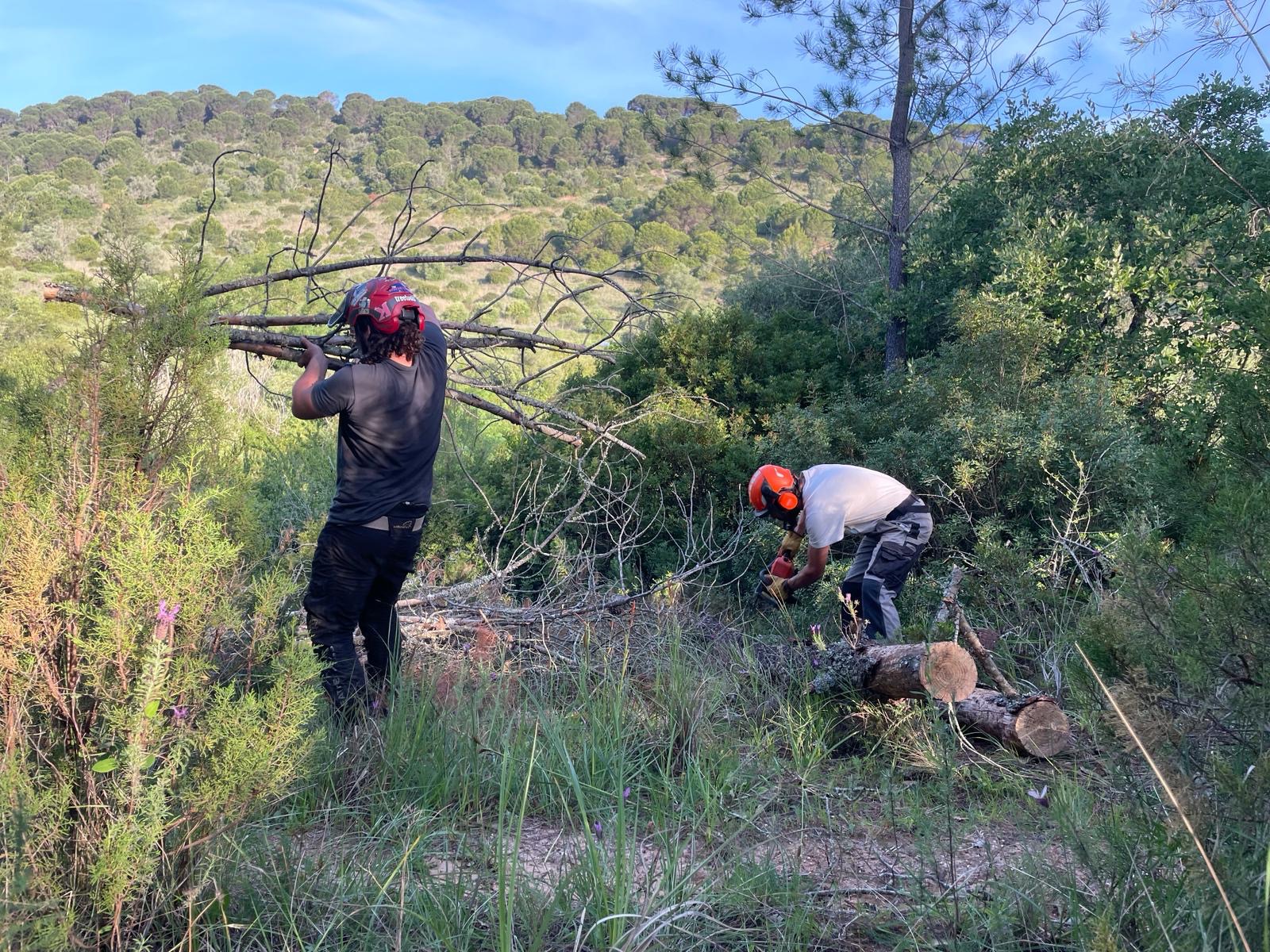 The ground team at work
