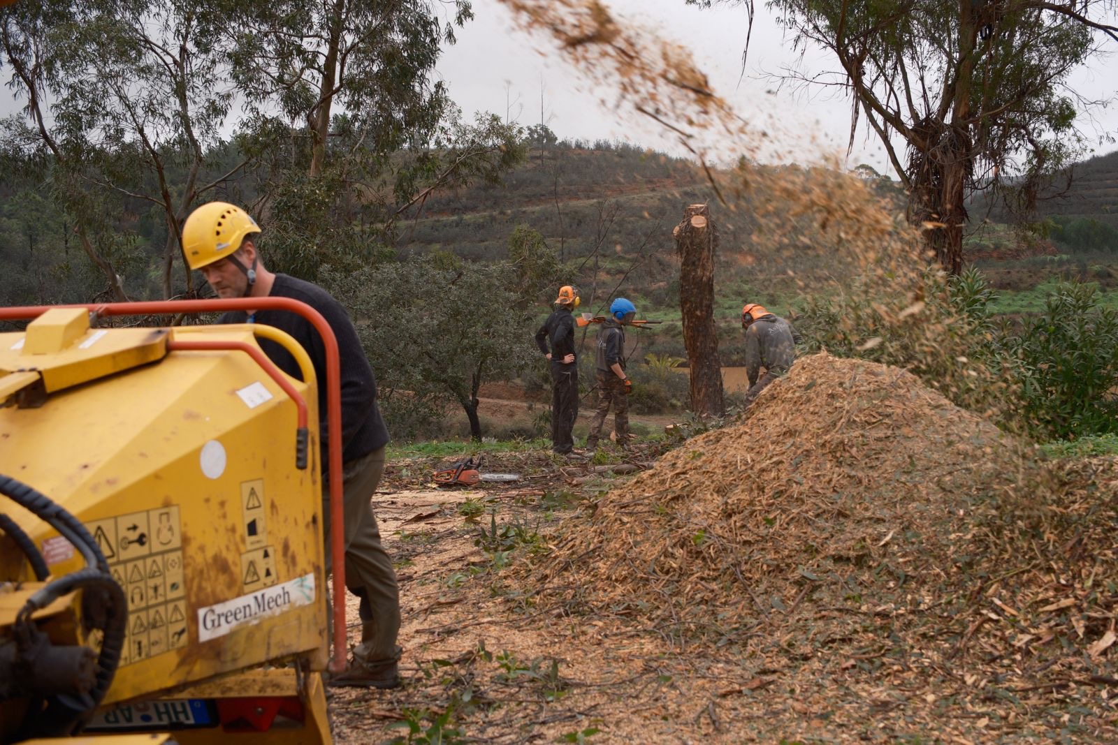 Processing branches on site